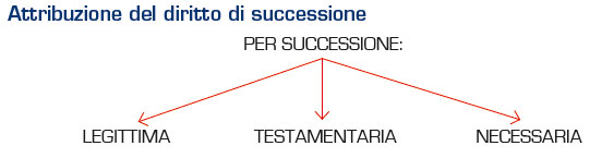 attribuzione del diritto di successione